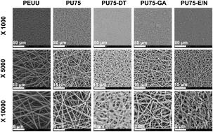 Graphical abstract: Preparation and evaluation of poly(ester-urethane) urea/gelatin nanofibers based on different crosslinking strategies for potential applications in vascular tissue engineering