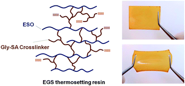 Graphical abstract: Development of hyperbranched crosslinkers from bio-derived platform molecules for the synthesis of epoxidised soybean oil based thermosets