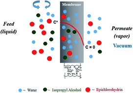 Graphical abstract: Stability and pervaporation characteristics of PVA and its blend with PVAm membranes in a ternary feed mixture containing highly reactive epichlorohydrin