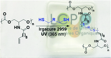 Graphical abstract: Versatile cross-linked fatty acid-based polycarbonate networks obtained by thiol–ene coupling reaction