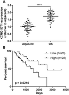 Graphical abstract: Retracted Article: Long non-coding RNA KCNQ1OT1 promotes osteosarcoma progression by increasing β-catenin activity