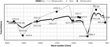 Graphical abstract: Regression, kinetics and isotherm models for biosorption of organic pollutants, suspended and dissolved solids by environmentally friendly and economical dried Phragmites australis