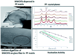 Graphical abstract: Non-isothermal crystallization kinetics of polypropylene/short glass fibre/multiwalled carbon nanotube composites