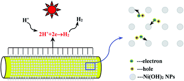 Graphical abstract: Ultrathin Ni(OH)2 nanosheets: a new strategy for cocatalyst design on CdS surfaces for photocatalytic hydrogen generation