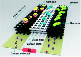 Graphical abstract: Electricity generation of a laminar-flow microbial fuel cell without any additional power supply