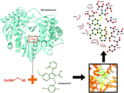 Graphical abstract: Targeting HCV polymerase: a structural and dynamic perspective into the mechanism of selective covalent inhibition