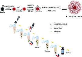 Graphical abstract: Facile synthesis of boronic acid-functionalized magnetic metal–organic frameworks for selective extraction and quantification of catecholamines in rat plasma