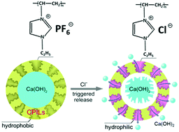 Graphical abstract: Ion-triggered calcium hydroxide microcapsules for enhanced corrosion resistance of steel bars