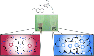 Graphical abstract: A proof of concept application of aptachain: ligand-induced self-assembly of a DNA aptamer