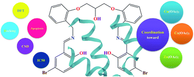 Graphical abstract: Theoretical and experimental investigation of anticancer activities of an acyclic and symmetrical compartmental Schiff base ligand and its Co(ii), Cu(ii) and Zn(ii) complexes