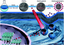 Graphical abstract: One-pot synthesis of biodegradable polydopamine-doped mesoporous silica nanocomposites (PMSNs) as pH-sensitive targeting drug nanocarriers for synergistic chemo-photothermal therapy