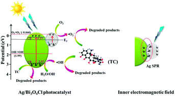 Graphical abstract: Visible-light-driven Ag/Bi3O4Cl nanocomposite photocatalyst with enhanced photocatalytic activity for degradation of tetracycline