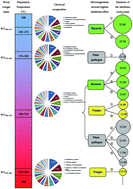 Graphical abstract: Chemical constituents and antimicrobial activity of wood vinegars at different pyrolysis temperature ranges obtained from Eucommia ulmoides Olivers branches