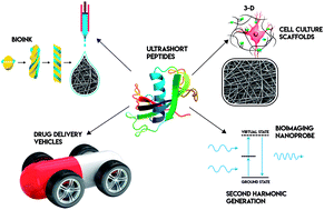 Graphical abstract: Applications of self-assembling ultrashort peptides in bionanotechnology