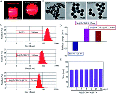 Graphical abstract: Targeted delivery of paclitaxel by functionalized selenium nanoparticles for anticancer therapy through ROS-mediated signaling pathways