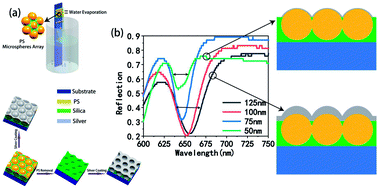 Graphical abstract: Large area highly ordered monolayer composite microsphere arrays – fabrication and tunable surface plasmon linewidth