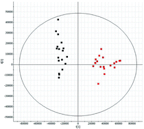 Graphical abstract: High-throughput metabolic profiling, combined with chemometrics and bioinformatic analysis reveals functional alterations in myocardial dysfunction