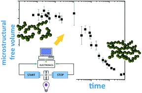 Graphical abstract: In situ investigation of the kinetics and microstructure during photopolymerization by positron annihilation technique and NIR-photorheology