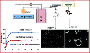 Graphical abstract: Nanocharacterization of liposomes for the encapsulation of water soluble compounds from Cordyceps sinensis CS1197 by a supercritical gas anti-solvent technique