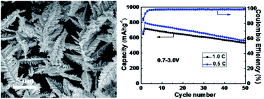Graphical abstract: Dendritic nanostructured FeS2-based high stability and capacity Li-ion cathodes