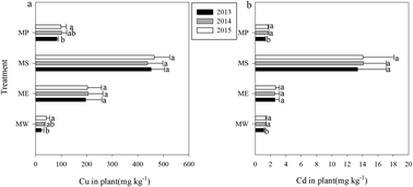 Graphical abstract: In situ phytoremediation of copper and cadmium in a co-contaminated soil and its biological and physical effects