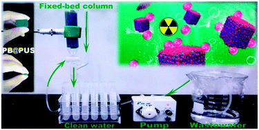 Graphical abstract: Batch and fixed-bed column studies for selective removal of cesium ions by compressible Prussian blue/polyurethane sponge