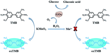 Graphical abstract: Highly efficient redox reaction between potassium permanganate and 3,3′,5,5′-tetramethylbenzidine for application in hydrogen peroxide based colorimetric assays