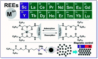 Graphical abstract: Synthesis and characterization of magnetic mesoporous Fe3O4@mSiO2–DODGA nanoparticles for adsorption of 16 rare earth elements