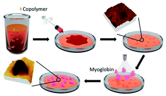 Graphical abstract: Functionalization of polyacrylamide for nanotrapping positively charged biomolecules