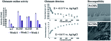 Graphical abstract: Pt-grown carbon nanofibers for enzymatic glutamate biosensors and assessment of their biocompatibility