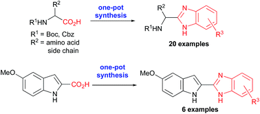 Graphical abstract: An efficient one-pot conversion of carboxylic acids into benzimidazoles via an HBTU-promoted methodology