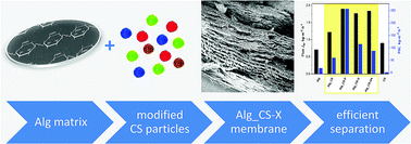 Graphical abstract: New type of alginate/chitosan microparticle membranes for highly efficient pervaporative dehydration of ethanol