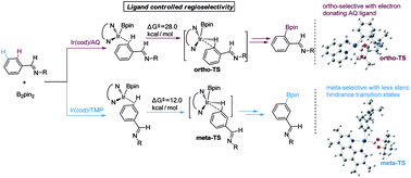 Graphical abstract: Mechanistic study of the ligand controlled regioselectivity in iridium catalyzed C–H borylation of aromatic imines