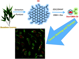 Graphical abstract: Bamboo leaf-based carbon dots for efficient tumor imaging and therapy