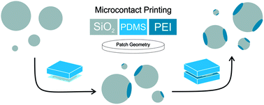 Graphical abstract: Characteristics of microcontact printing with polyelectrolyte ink for the precise preparation of patches on silica particles