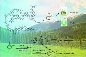 Graphical abstract: Highly selective conversion of guaiacol to tert-butylphenols in supercritical ethanol over a H2WO4 catalyst