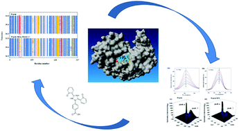 Graphical abstract: Exploring the binding pattern between pepsin and deferasirox using detailed experimental and computer simulation methods