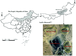 Graphical abstract: The soil chemical properties of reclaimed land in an arid grassland dump in an opencast mining area in China