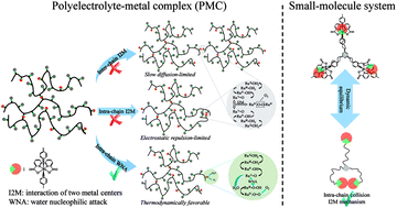 Graphical abstract: P4VP–RuII(bda) polyelectrolyte–metal complex as water oxidation catalyst: on the unique slow-diffusion and multi-charge effects of the polyelectrolyte ligand