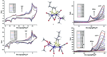 Graphical abstract: The influence of phosphine ligand substituted [2Fe2S] model complexes as electro-catalyst on proton reduction