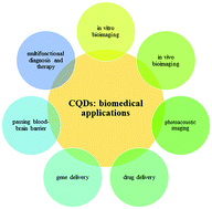 Graphical abstract: Carbon quantum dots and their biomedical and therapeutic applications: a review
