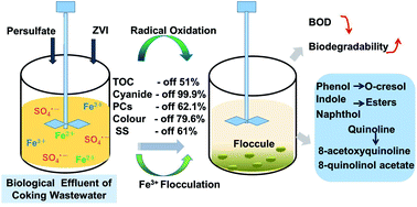 Graphical abstract: Sulfate radical oxidation combined with iron flocculation for upgrading biological effluent of coking wastewater