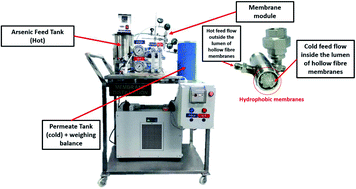 Graphical abstract: Removal of As(iii) and As(v) from water using green, silica-based ceramic hollow fibre membranes via direct contact membrane distillation