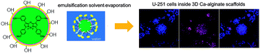 Graphical abstract: Aza-BODIPY based polymeric nanoparticles for cancer cell imaging