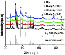 Graphical abstract: Synthesis of silver nanoparticle-decorated hydroxyapatite (HA@Ag) poriferous nanocomposites and the study of their antibacterial activities