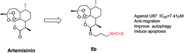 Graphical abstract: Synthesis and anti-glioblastoma effects of artemisinin-isothiocyanate derivatives