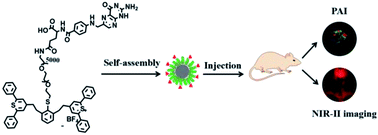 Graphical abstract: A targeted biocompatible organic nanoprobe for photoacoustic and near-infrared-II fluorescence imaging in living mice