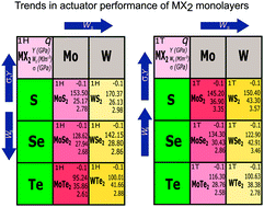 Graphical abstract: Charge-induced electromechanical actuation of Mo- and W-dichalcogenide monolayers