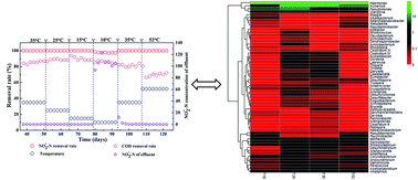 Graphical abstract: Temperature dependence of denitrification microbial communities and functional genes in an expanded granular sludge bed reactor treating nitrate-rich wastewater