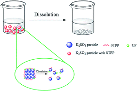 Graphical abstract: Purification and rapid dissolution of potassium sulfate in aqueous solutions